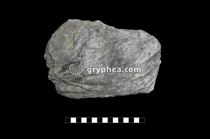 Schiste à séricite - échantillon (Zermatt, Suisse) - gryphea.com